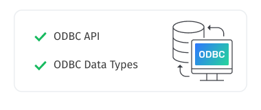 Diagram showing a computer connected to a database, with checkmarks indicating support for ODBC API and Data Types.